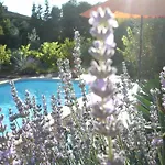 La Lucques Masabelle